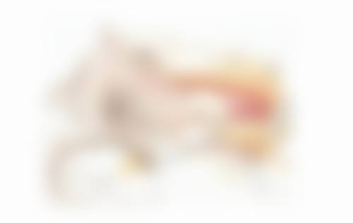 姚泽忠医生：临床研究成果丰