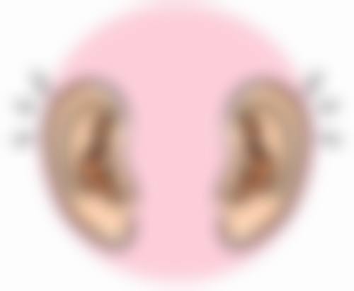 综合考量，汕头汕美整形医院隆鼻价位合适吗？