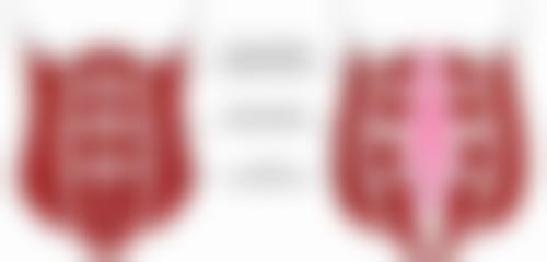 丛艳军 医生荣誉资质：实力的象征