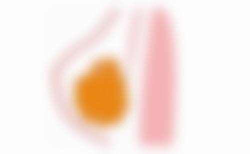 姚大夫的荣誉资质