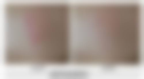 赵大夫的荣誉资质：闪耀光芒的专精认可