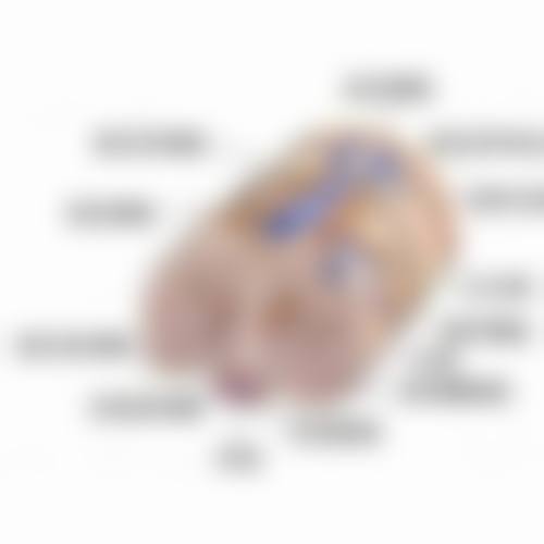 手术缝针疤痕怎么消除？揭秘3种医美热门方法，快速淡化痕迹，让肌肤重焕光滑！ 