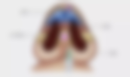 郑可扬医生执业信息