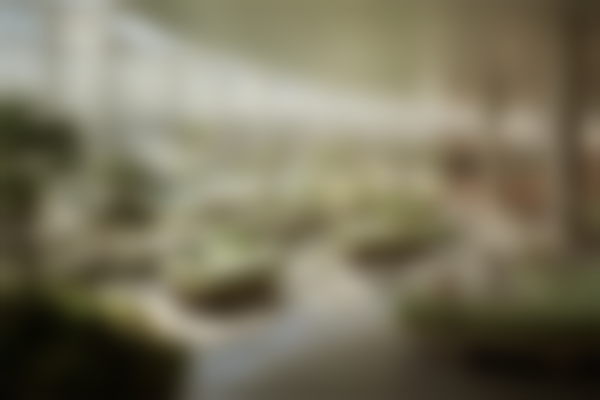 厦门宾小美医疗美容诊所