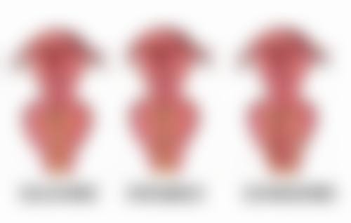 袁兴枝医生真实实例