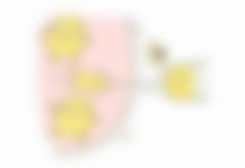 马维骐怎么预约挂号：便捷通道，轻松就诊