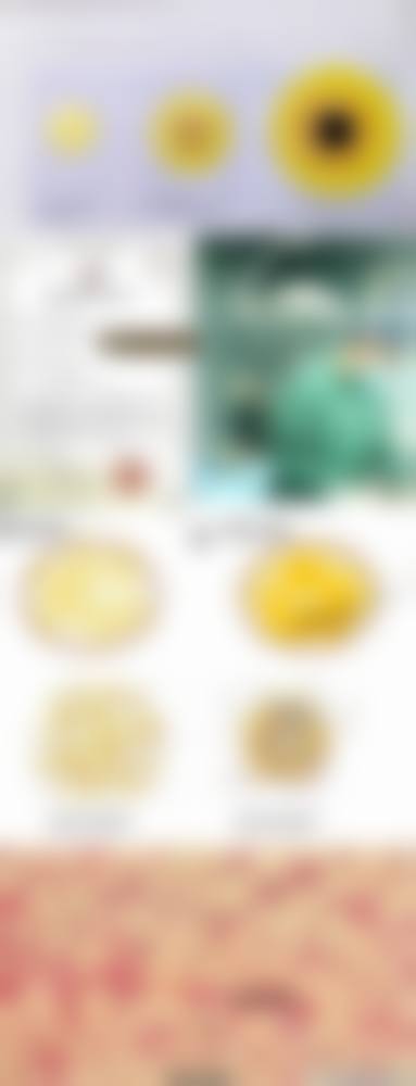 西昌平安整形美容医院真实实例