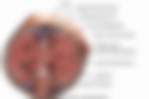 韩国原辰整形外科耳软骨隆鼻取出后修复原来模样值不值