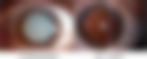 许英医生荣誉资质：闪耀医美界的勋章