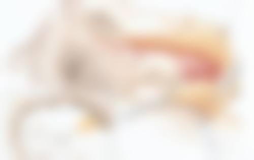 四川成都美容整形医院私密科的邓娟娟医生口碑怎么样