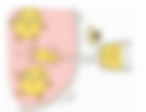 哈尔滨医 科 大学附属第二医院眼科能去除胸口疤痕疙瘩吗？