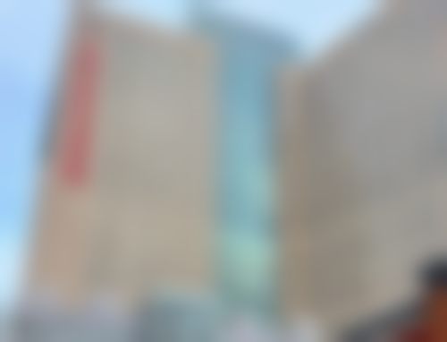 国内人民解放军北部战区总医院(整形美容中 心)价格表