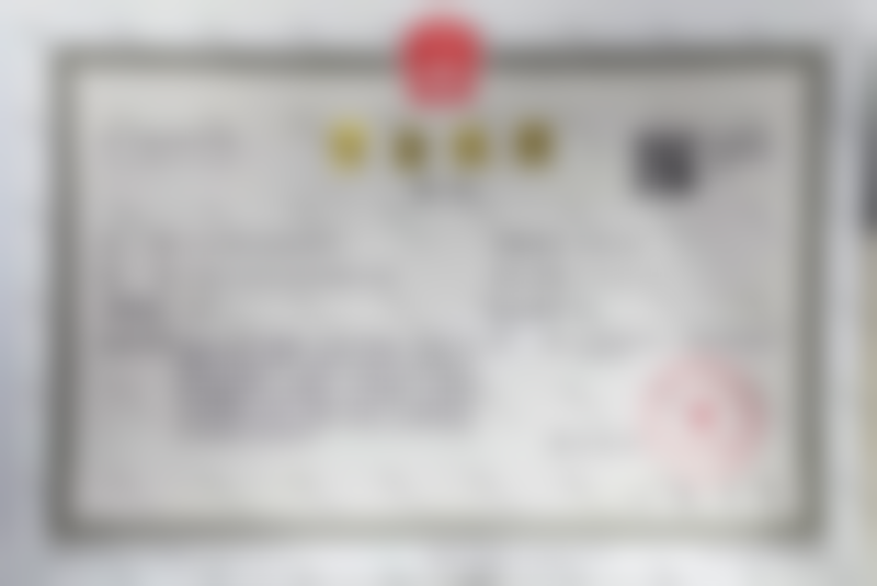 窦玺技术特点:自然风的理想呈现