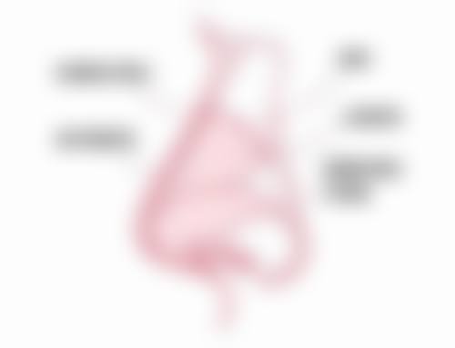 四川成都美容整形医院私密科李挺医生技术怎么样