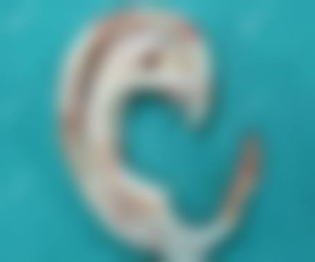 徐州懿薇莱美容擅长项目：满足多样变得更美需求