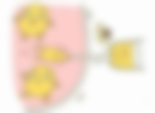 宁波牙科医院江北门诊部价格表