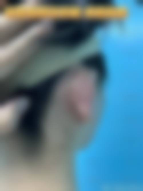 安阳亦美医疗美容医生名单