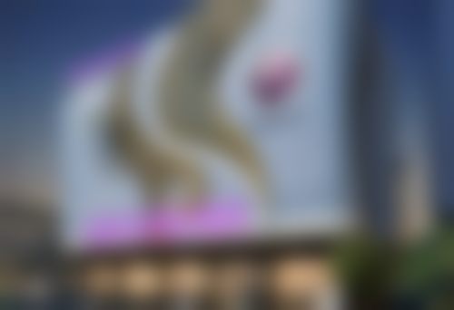 {四川成都医美整形医院私密科小阴唇整形手术（内缝单侧）1980.00，精细内缝恢复快，单侧效果更自然！ 