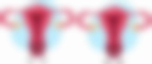 杨柳清医生荣誉资质