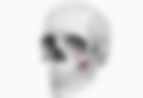 李虎星医生技术特点