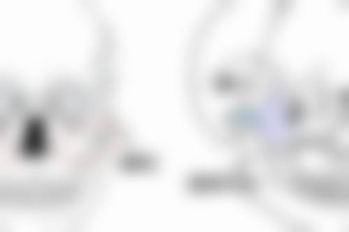 甄琳医生荣誉资质