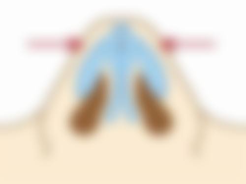 李志敏医生荣誉资质