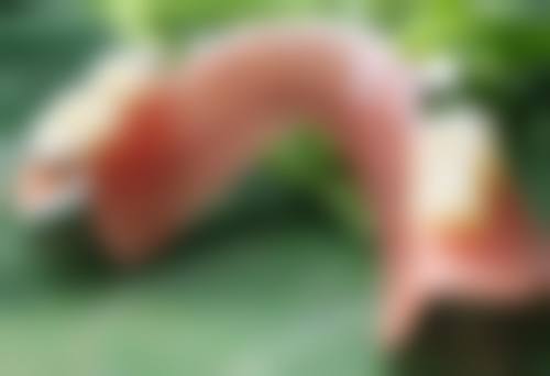 姜亮守医生怎么预约挂号：便捷效率高的方式