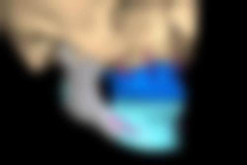 西安第四军 医 大学唐都医院预约挂号方式