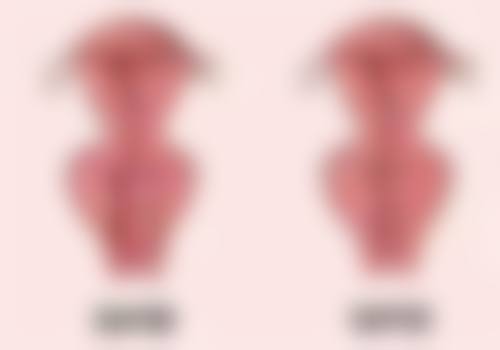 崔贤镒的真实实例