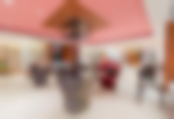 陈成院长的执业信息