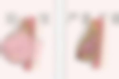 广州中南整形美容门诊部擅长项目