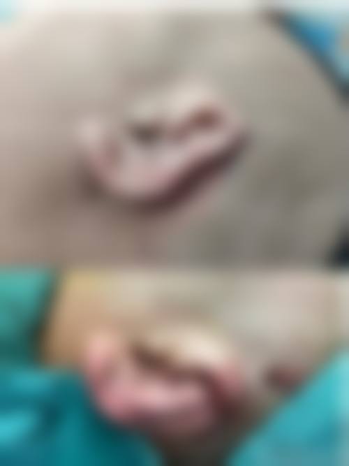 嘉兴欣慕整形医院仪器设备