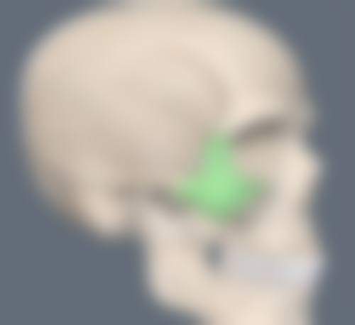 于秀英医生的真实实例