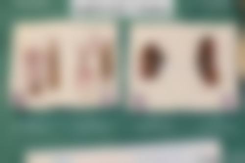 西安桃夭整形医院执业信息