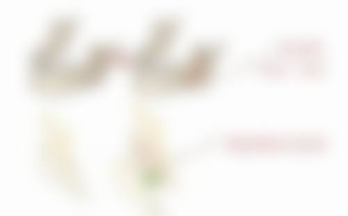 林琳医生真实实例：见证美丽蜕变