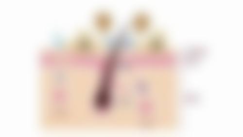 肖琴医生的荣誉资质