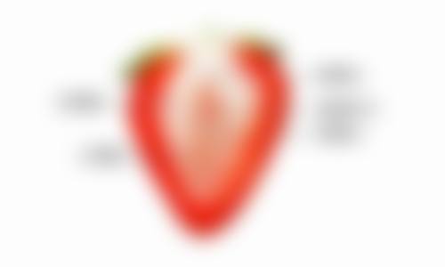 神户Luminous诊所口碑怎么样：顾客好评如潮