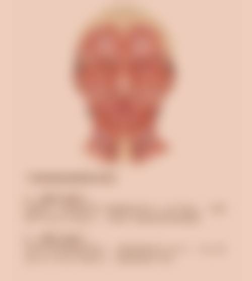 冀慧霞医生荣誉资质:实力的象征