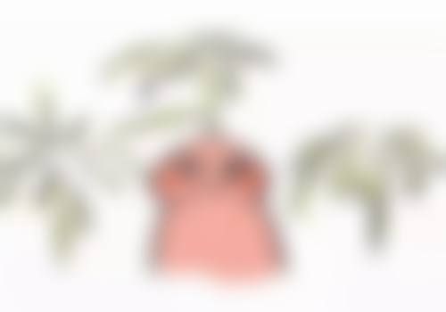 罗文娟医生的技术特点有哪些