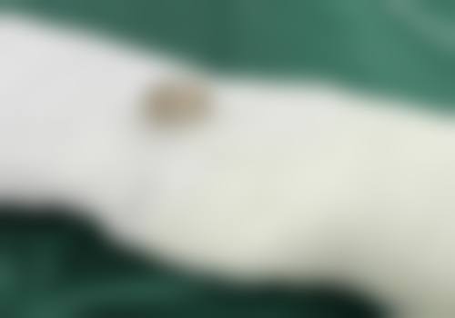 天津臻瑞新科医疗美容诊所预约挂号方式