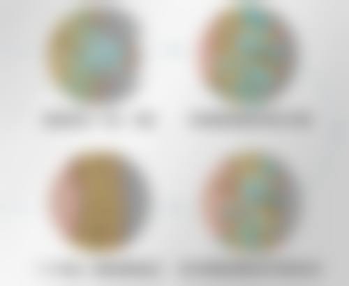 李志敏医生的擅长项目