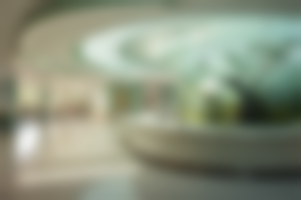 河南南阳第八人民医院整形美容科执业信息