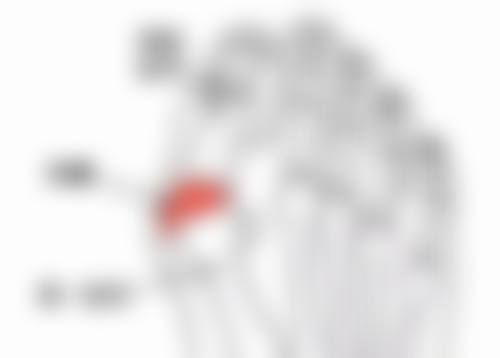 脸上有疤痕通过当兵体检的依据是什么