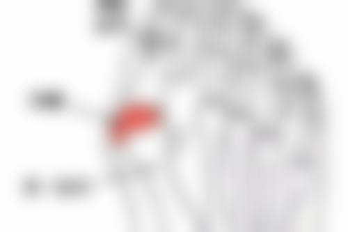 如何挑选去眼袋黑眼圈成效好的眼霜