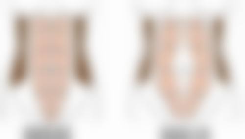 吴晓丽医生荣誉资质