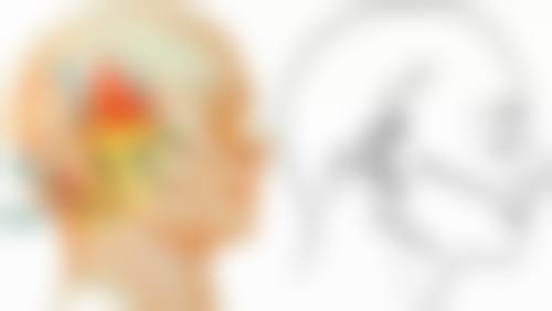 唐山工人医院牛磊医生荣誉资质