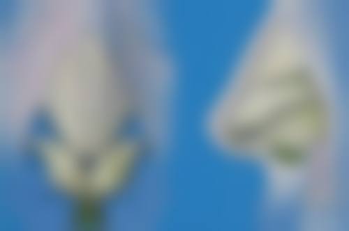 外切眼袋血肿的危害重度吗