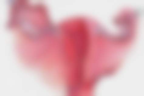 宁波凯丽医疗美容医院执业信息