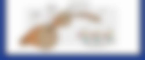 激光去眼袋靠谱吗