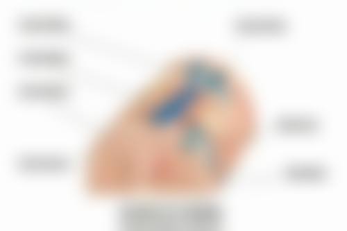 刘克礼医生看诊优势